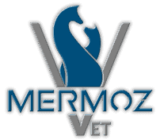 Urgences vétérinaires Lyon – MERMOZ Vet- Chiens chats NAC – 24h24 et 7j/7